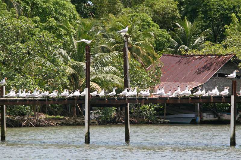 Mexico & Guatemala 2010 - 0991